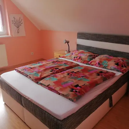 Anna Vendeghaz Appartement