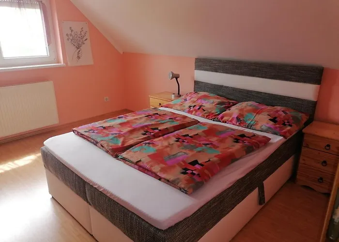 Anna Vendeghaz Appartement